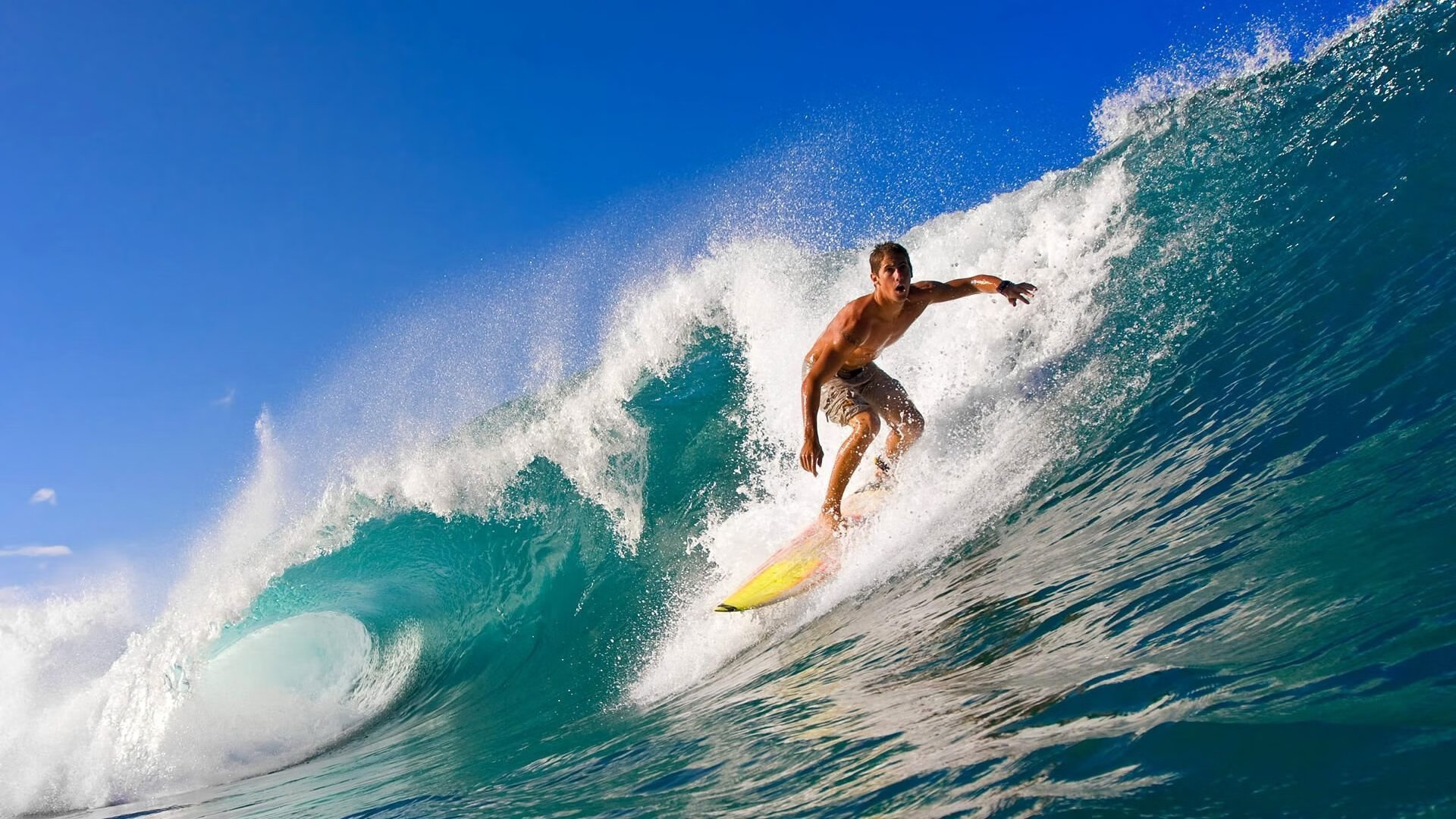 星空体育官网首页-体育新闻中心联合科研机构开展体育内容影响力评估，体育科研热点问题